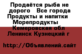 Продаётся рыба не дорого - Все города Продукты и напитки » Морепродукты   . Кемеровская обл.,Ленинск-Кузнецкий г.